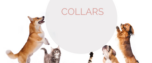 Collars