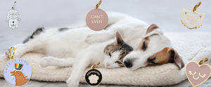 Pet Identification Tags