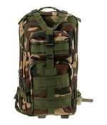 Load image into Gallery viewer, Tactical Military 25L Molle Backpack
