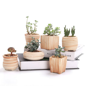 Set of 6 Ceramic Wooden Pattern Succulent Planters